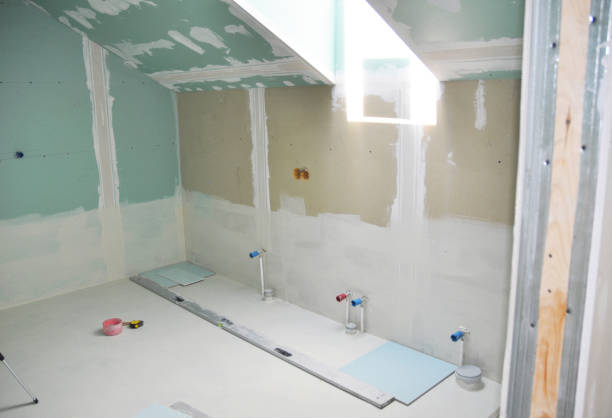 Best Mold Odor Removal Services  in Fincastle, TN