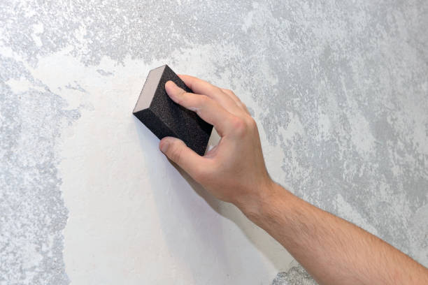 Best Real Estate Mold Inspection  in Fincastle, TN