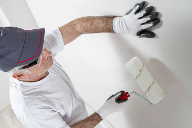 Trusted Fincastle, TN Mold Removal Experts