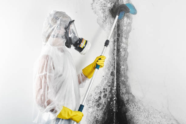 Best Air Quality Testing for Mold Spores  in Fincastle, TN