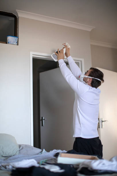 Best Commercial Mold Inspection  in Fincastle, TN