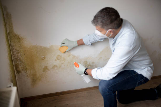 Best Biohazard Mold Removal  in Fincastle, TN