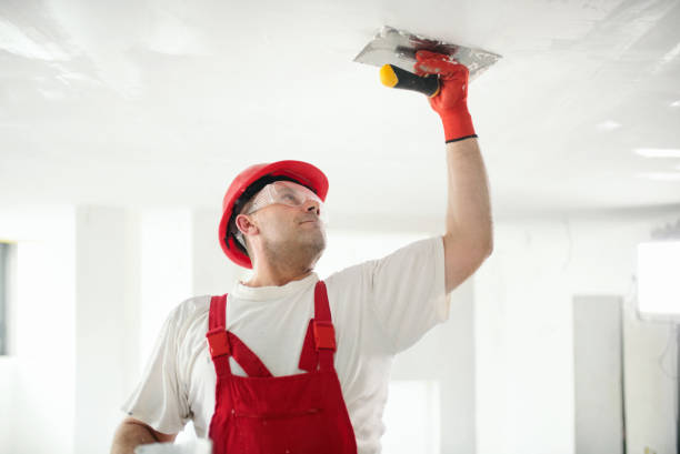 Best Mold Odor Removal Services  in Fincastle, TN
