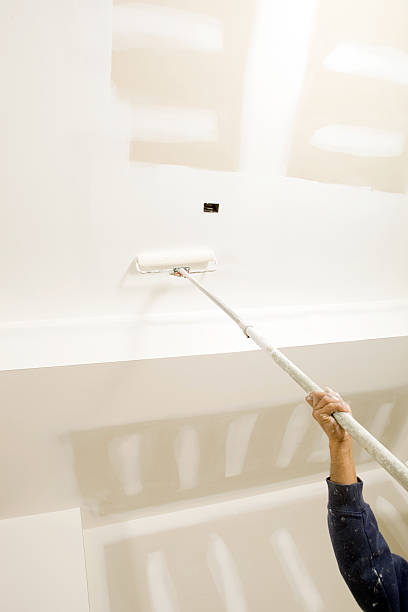 Best Mold Prevention Services  in Fincastle, TN