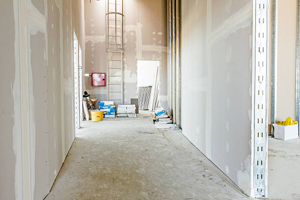 Fincastle, TN Mold Removal Company